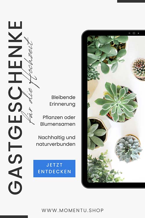 Nachhaltige Gastgeschenke für die Hochzeit - Sukkulenten