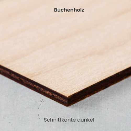 Buchenholz