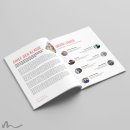 Maturazeitung Farbflash